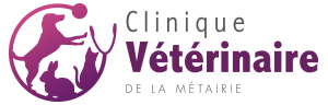 Clinique vétérinaire de la Métairie